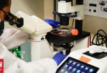 Ανησυχητικός αριθμός μικροπλαστικών βρέθηκε σε όγκους καρκίνου του προστάτη