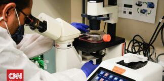 Ανησυχητικός αριθμός μικροπλαστικών βρέθηκε σε όγκους καρκίνου του προστάτη