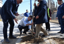 Φύτεψε πάνω από 100 δένδρα κατά μήκος της οδού Ιωαννίνων