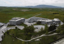 Απορρίφθηκε αίτημα του Animus για αναστολή