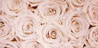 Ποιοι γιορτάζουν σήμερα 19 Μαρτίου