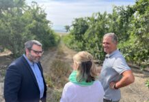 Συνεργασία Πειραιώς και Wikifarmer για ψηφιακό μετασχημάτισμο του πρωτογενή τομέα