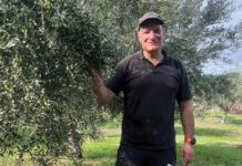 Η φιλοσοφία του αυθεντικού ελληνικού ελαιολάδου σε κάθε φιάλη Oilove