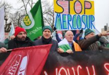 Περιφρονεί η ΕΕ αγρότες και θεσμούς λένε Copa-Cogeca για την πρόωρη εκκίνηση Mercosur