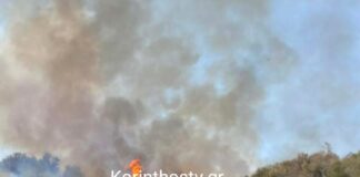 Φωτιά σε δασική έκταση στα Σοφιανά Κορινθίας