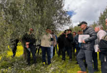 Επενδύει στην κατάρτιση των ελαιοπαραγωγών η Περιφέρεια Κρήτης