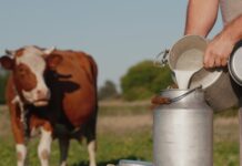 Εκούσια μείωση όγκων παραγωγής σε επίπεδο ΕΕ ζητά το Ευρωπαϊκό Συμβούλιο Γάλακτος