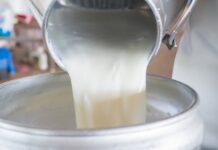 Τι προβλέπεται για ζώα, γάλα, κρέας μετά τα μέτρα για αφθώδη στη Λέσβο