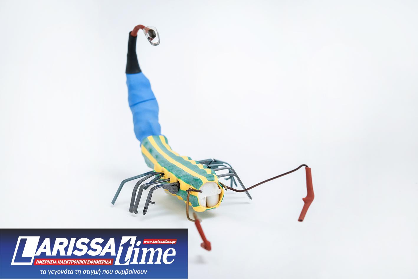 «Δεύτερη Ζωή»: Ατομική Έκθεση του Θανάση Μπίρλη με αξιοποίηση παλιών αντικειμένων