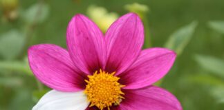 Η μέθοδος του “σχεδόν σωστού”: Γιατί οι ατελείς τεχνικές κερδίζουν μακροπρόθεσμα