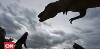 Ανακαλύφθηκε ο μεγαλύτερος πρόγονος του τυραννόσαυρου Ρεξ στη Βόρεια Αμερική – Ήταν 74 εκατ. ετών