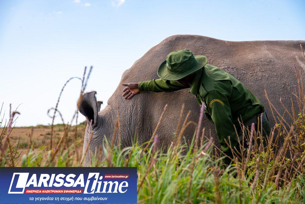Sundance Institute: 16 πρότζεκτ, 47 δημιουργοί και ένα ντοκιμαντερίστικο σύμπαν που επαναπροσδιορίζει τη σχέση επιστήμης και ανθρώπου