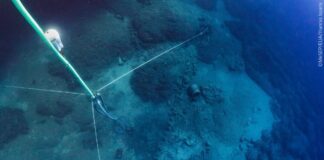 Μπρίκι Μέντωρ: Σημαντική ανακάλυψη στο ναυάγιο του Έλγιν – Ανεκτίμητο θραύσμα από γλυπτό