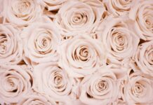 Ποιοι γιορτάζουν σήμερα 1 Μαρτίου