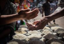 Ανάκαμψη έδειξε το αγροτικό καλάθι τιμών του FAO τον Φεβρουάριο