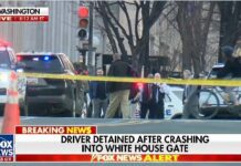 ΗΠΑ: Αυτοκίνητο έπεσε σε πύλη του Λευκού Οίκου
