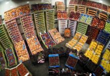 Οι τιμές ξεκινούν από το χωράφι και όχι από τη Λαχαναγορά του Ρέντη λέει ο ΣΕΚΛΑ