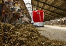 Μοχλός ανάπτυξης της ελληνικής οικονομίας η αξιοποίηση της καινοτομίας