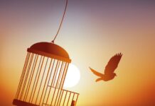 «Ο αδύναμος δεν μπορεί να συγχωρήσει. Η συγχώρεση είναι γνώρισμα των δυνατών» | Gandhi