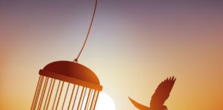 «Ο αδύναμος δεν μπορεί να συγχωρήσει. Η συγχώρεση είναι γνώρισμα των δυνατών» | Gandhi