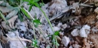 Παιδιά που έπαιζαν βρήκαν την οβίδα στην Πεύκη