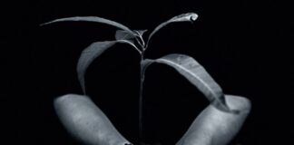 Χωρίς ρίζες δεν ξέρουμε ποιοι είμαστε και χωρίς φτερά δεν ανακαλύπτουμε ποιοι μπορούμε να γίνουμε