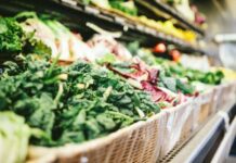 Εν μέσω κλιματικής κρίσης και πολέμων, πόσο ανθεκτικό είναι το επισιτιστικό σύστημα της Ευρώπης;