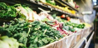 Εν μέσω κλιματικής κρίσης και πολέμων, πόσο ανθεκτικό είναι το επισιτιστικό σύστημα της Ευρώπης;