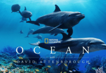 ΕΚΚΟΜΕΔ: Ενίσχυση πρωτοβουλιών κοινωνικής και περιβαλλοντικής ευαισθητοποίησης μέσω του οπτικοακουστικού τομέα