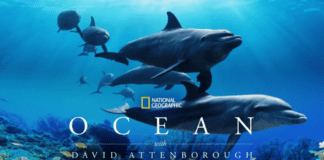 ΕΚΚΟΜΕΔ: Ενίσχυση πρωτοβουλιών κοινωνικής και περιβαλλοντικής ευαισθητοποίησης μέσω του οπτικοακουστικού τομέα