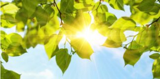 Ήλιος: 7 τρόποι με τους οποίους το φυσικό φως βελτιώνει την υγεία μας