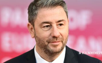 Ανδρουλάκης από Στρασβούργο για τις υποκλοπές: «Δίνουμε αγώνα αρχών και αξιών»