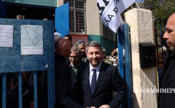 Θεωρείο: Στα Δυτικά ο Ανδρουλάκης