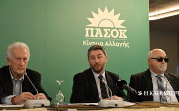 Ανδρουλάκης: Το ΠΑΣΟΚ δεν μοιράζεται σε τιμάρια