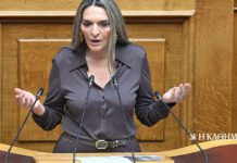 Νέα Αριστερά: Η Πέτη Πέρκα πρόεδρος της Κοινοβουλευτικής Ομάδας