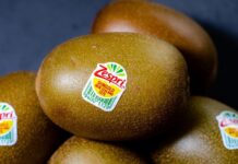 Χρονιά ρεκόρ με περισσότερους από 87.000 τόνους για ακτινίδια SunGold πέτυχε η Zespri στο Βόρειο Ημισφαίριο