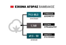 Νέα άνοδος για το βαμβάκι μετά τη διόρθωση, 50 λεπτά δίνει αναγωγή στο σύσπορο