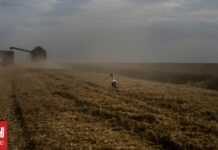 Η Ουκρανία ζητεί από το Ισραήλ να μην δεχθεί τα «κλεμμένα από τη Ρωσία» σιτηρά της