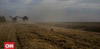 Η Ουκρανία ζητεί από το Ισραήλ να μην δεχθεί τα «κλεμμένα από τη Ρωσία» σιτηρά της