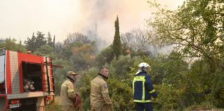 Φωτιά στην Ορεινή Νάξο έσβησε η Πυροσβεστική