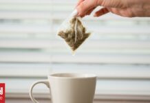 Τα φακελάκια τσαγιού μπορεί να απελευθερώνουν πάνω από 1 δισεκατομμύριο μικροπλαστικά στο φλιτζάνι