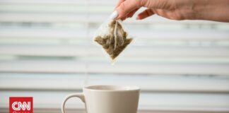 Τα φακελάκια τσαγιού μπορεί να απελευθερώνουν πάνω από 1 δισεκατομμύριο μικροπλαστικά στο φλιτζάνι
