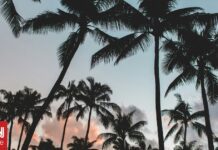 Μπουρούντι: Ο υπουργός Επικοινωνιών βρέθηκε νεκρός μέσα σε ένα αυτοκίνητο, σε φυτεία με φοίνικες