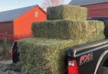 Στο Υπ. Οικονομικών η απόφαση για ενίσχυση 35 εκατ. στη μηδική, ανάλογα με την κοπή και κατά ζώνες τα ποσά