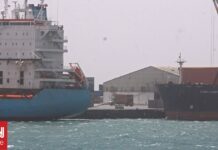 Πειρατές έκαναν ρεσάλτο σε φορτηγό πλοίο και το οδηγούν προς τη Σομαλία