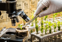 «Ναι» από το Συμβούλιο της ΕΕ στα ανθεκτικά φυτά νέας γενιάς NGTs