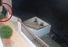 Αιτωλοακαρνανία: Περπατούσαν για 6 ώρες μέσα στη νύχτα οι ληστές στο Θέρμο