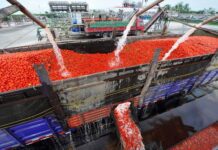 Βαρίδι για βιομηχανία λαχανικών-ντομάτας οι εισαγωγές τρίτων χωρών