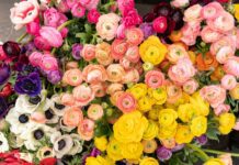 Ποιοι γιορτάζουν σήμερα 13 Απριλίου