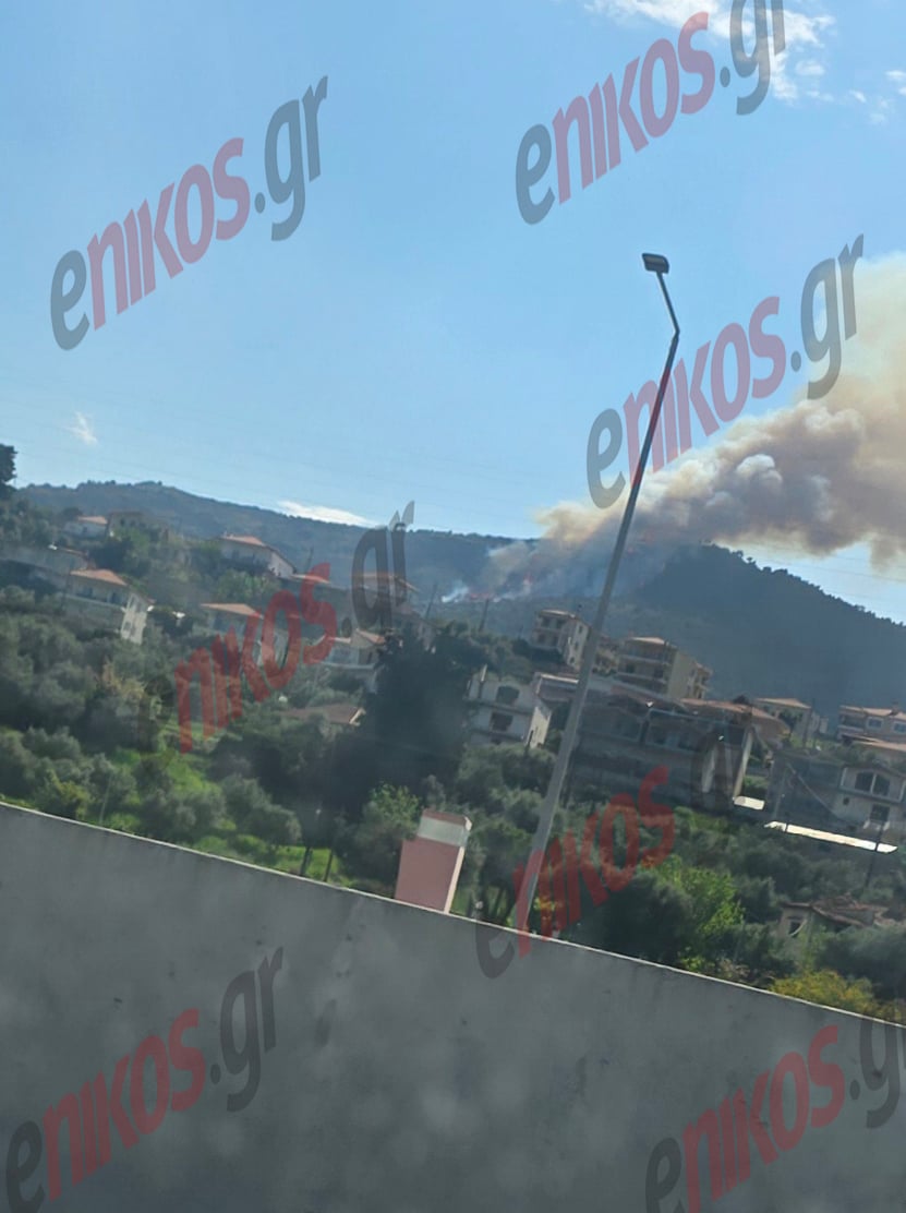 Φωτιά,Ακράτα Αχαΐας